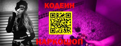 индика Тверь