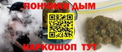 индика Тверь