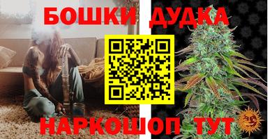 индика Тверь