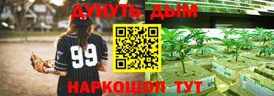 спиды Тара
