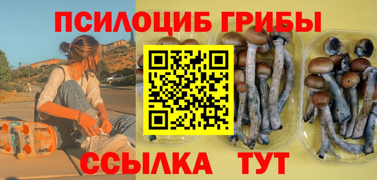 Галлюциногенные грибы прущие грибы  Вход с VPN  купить закладку  Новочебоксарск 